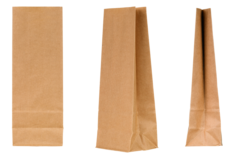 Blank paper bags to make puppets